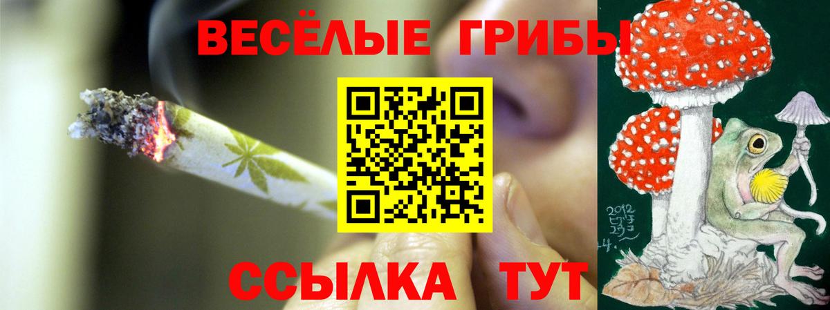Псилоцибиновые грибы Cubensis Электрогорск