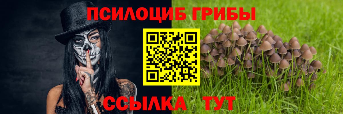 купить наркоту  Псилоцибиновые грибы мухоморы  Вход с VPN  Электрогорск 